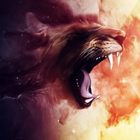 Портфолио Loi Tran